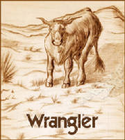 wrangler-ad.jpg